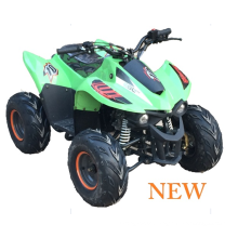 ATV 110CC QUAD-BIKE GÜNSTIGE ATV FÜR VERKAUF HX110N